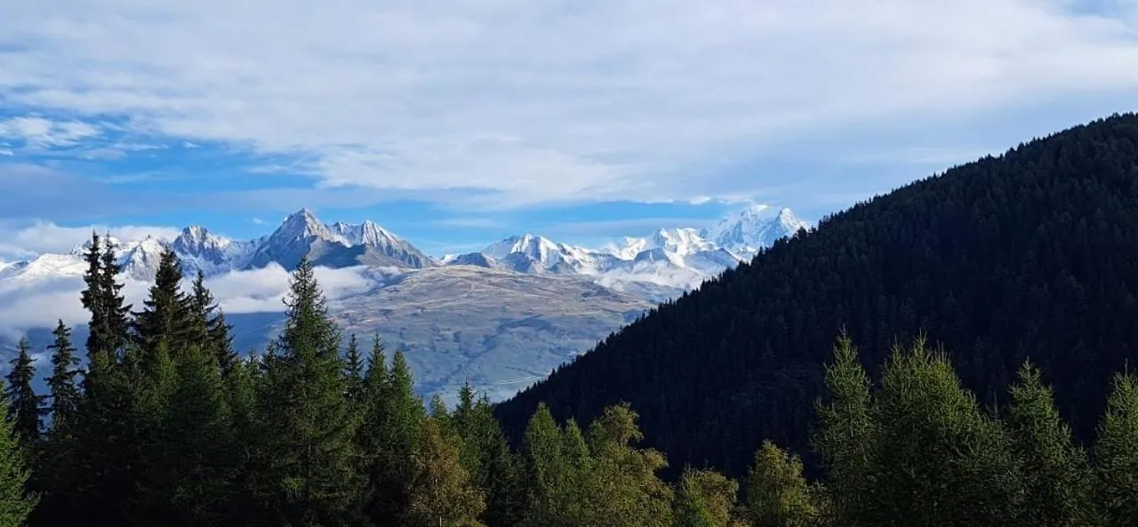 Apartment Location Appartement Cosy La Plagne-Tarentaise